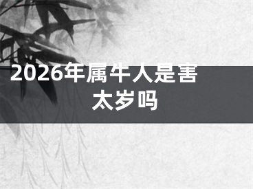 2026年属牛人是害太岁吗