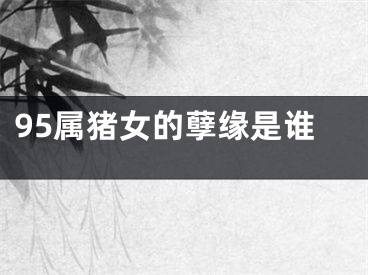 95属猪女的孽缘是谁