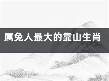 属兔人最大的靠山生肖