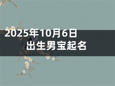 2025年10月6日出生男宝起名