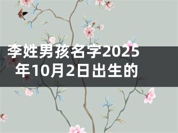李姓男孩名字2025年10月2日出生的