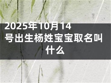 2025年10月14号出生杨姓宝宝取名叫什么