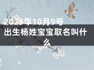 2025年10月9号出生杨姓宝宝取名叫什么