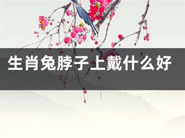 生肖兔脖子上戴什么好