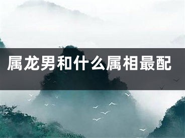 属龙男和什么属相最配