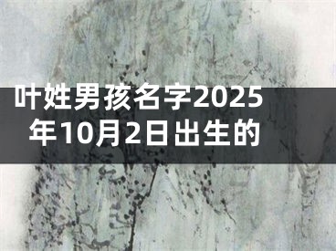 叶姓男孩名字2025年10月2日出生的