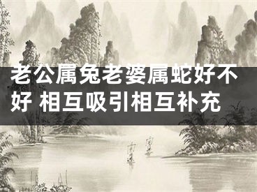 老公属兔老婆属蛇好不好 相互吸引相互补充