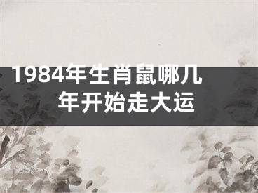 1984年生肖鼠哪几年开始走大运