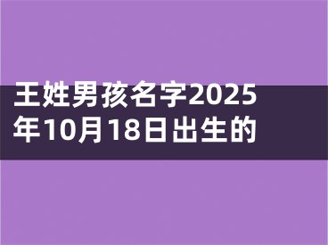 王姓男孩名字2025年10月18日出生的