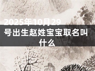 2025年10月29号出生赵姓宝宝取名叫什么