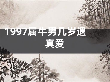 1997属牛男几岁遇真爱