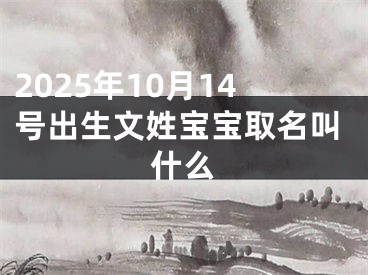2025年10月14号出生文姓宝宝取名叫什么