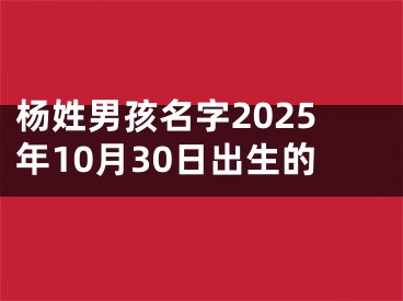 杨姓男孩名字2025年10月30日出生的