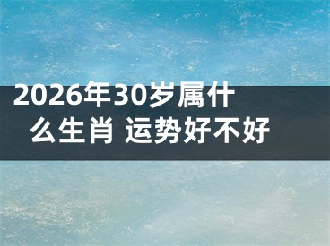 2026年30岁属什么生肖 运势好不好