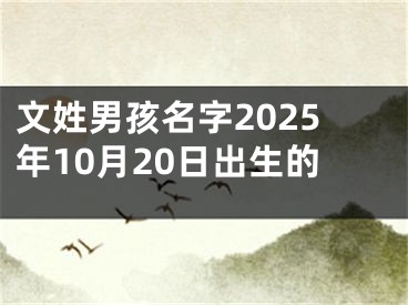 文姓男孩名字2025年10月20日出生的