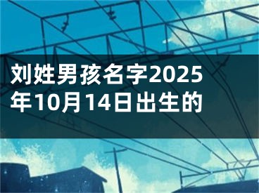 刘姓男孩名字2025年10月14日出生的