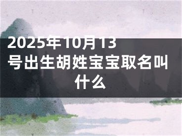 2025年10月13号出生胡姓宝宝取名叫什么