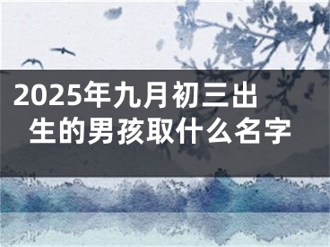 2025年九月初三出生的男孩取什么名字