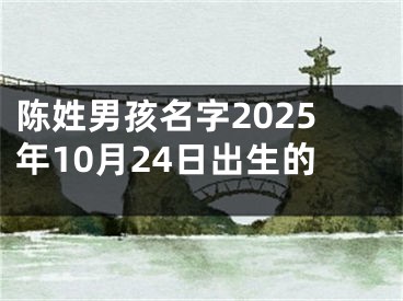 陈姓男孩名字2025年10月24日出生的
