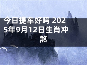 今日提车好吗 2025年9月12日生肖冲煞
