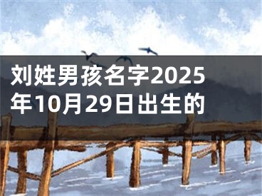 刘姓男孩名字2025年10月29日出生的