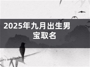 2025年九月出生男宝取名