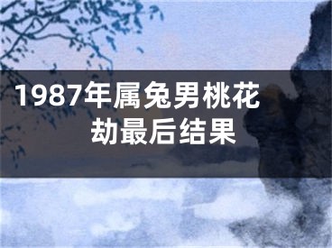 1987年属兔男桃花劫最后结果