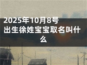 2025年10月8号出生徐姓宝宝取名叫什么