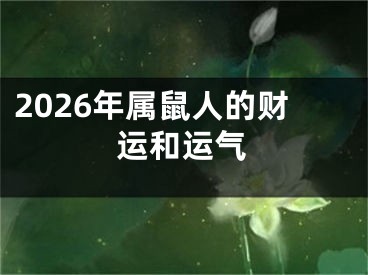 2026年属鼠人的财运和运气