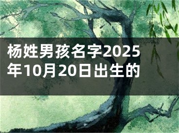 杨姓男孩名字2025年10月20日出生的