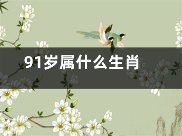 91岁属什么生肖