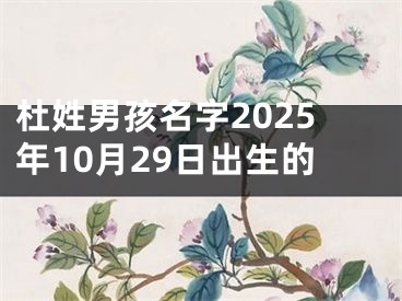 杜姓男孩名字2025年10月29日出生的