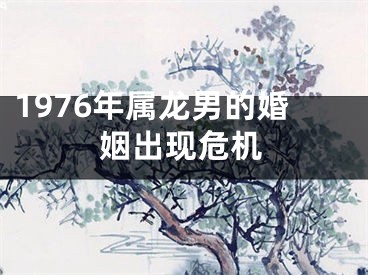 1976年属龙男的婚姻出现危机