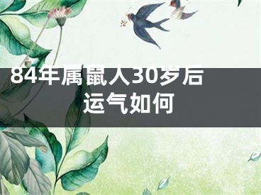 84年属鼠人30岁后运气如何