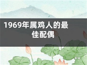 1969年属鸡人的最佳配偶