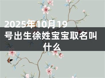 2025年10月19号出生徐姓宝宝取名叫什么