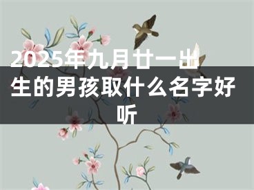 2025年九月廿一出生的男孩取什么名字好听