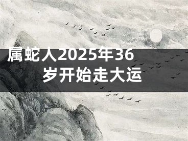 属蛇人2025年36岁开始走大运