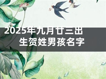 2025年九月廿三出生贺姓男孩名字