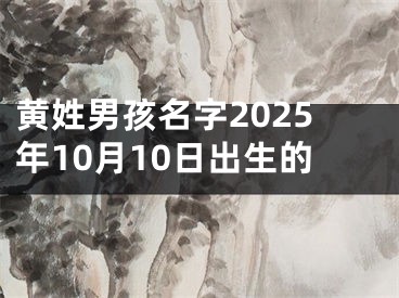 黄姓男孩名字2025年10月10日出生的