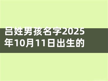 吕姓男孩名字2025年10月11日出生的