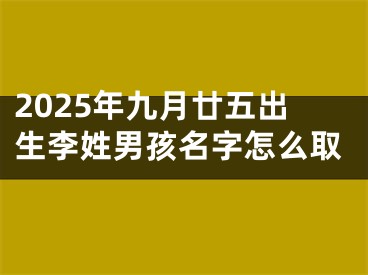 2025年九月廿五出生李姓男孩名字怎么取