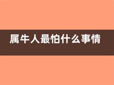 属牛人最怕什么事情