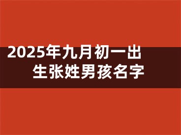 2025年九月初一出生张姓男孩名字