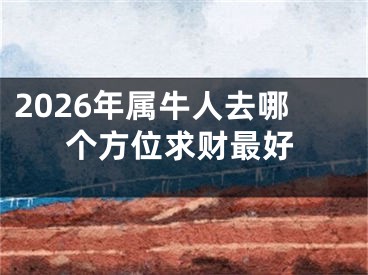 2026年属牛人去哪个方位求财最好