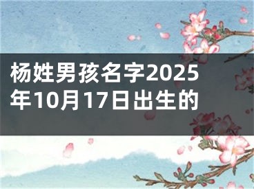 杨姓男孩名字2025年10月17日出生的