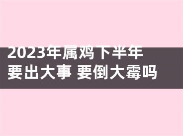 2023年属鸡下半年要出大事 要倒大霉吗