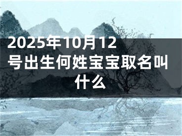 2025年10月12号出生何姓宝宝取名叫什么