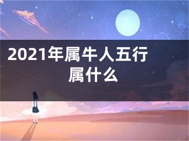 2021年属牛人五行属什么