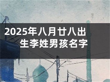 2025年八月廿八出生李姓男孩名字